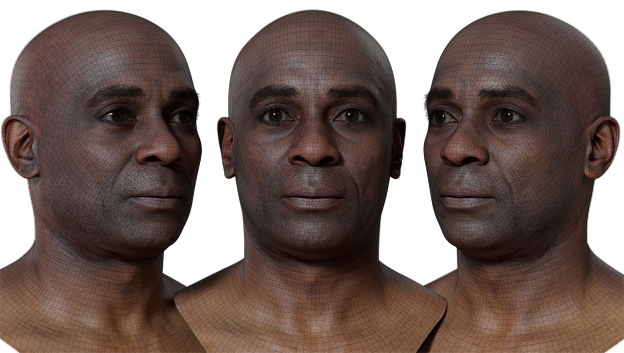 Enhance your digital creations with our male metamorph head scan. Our cutting-edge 3D scanning technology captures every detail of the human head, creating a one-of-a-kind model that is perfect for animation, gaming, and other digital projects. With a ZTL file as the source and FBX meshes included, customization is a breeze. Get the high-resolution details you need to take your projects to the next level.